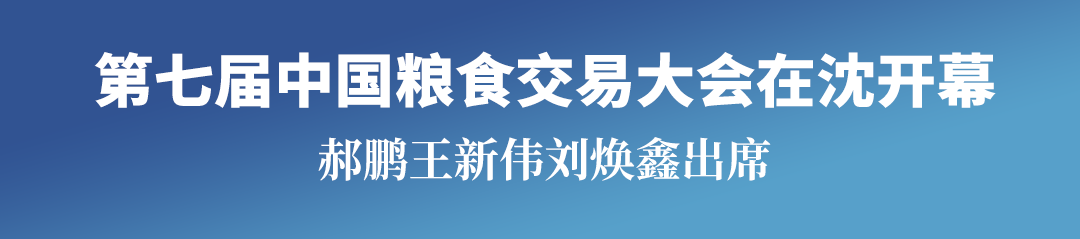 黄金城
